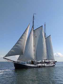 1229AC24 - Silvester Segeltörn 2024/25