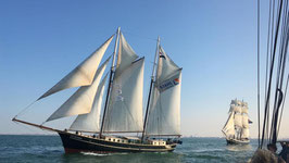 Abendsegeltörn zur Hanse Sail von 18 - 21 Uhr (Fr.)