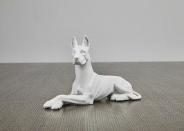 Dänische Dogge REICHENBACH