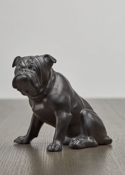 Bulldogge REICHENBACH