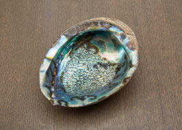 Muschelschale