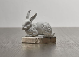 Hase REICHENBACH