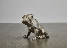 Bulldogge REICHENBACH