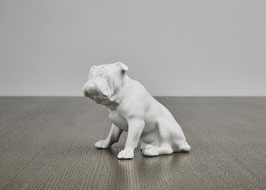 Bulldogge REICHENBACH