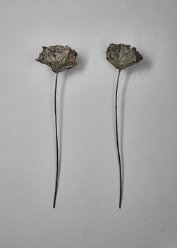 Wandleuchten Lotus CREATIVE LIGHT