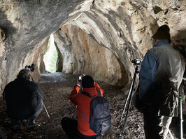 In Ausarbeitung 20260313 | Zauberwald Fränkische Schweiz
