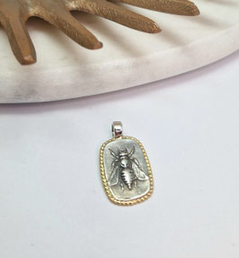 Hanger zilver met goud , afdruk camee bij