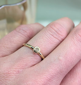 Ring 14 karaats goud met roosgeslepen salt en pepper witte diamany