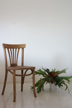 BENTWOOD CHAIR　（SOLD）