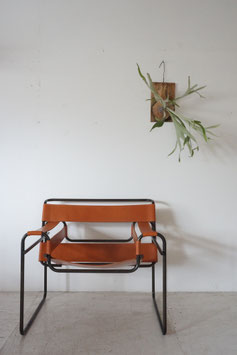WASSILY CHAIR / MARCEL BREUER (商談中）