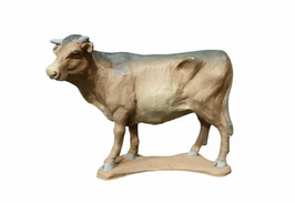 Ref.:1256 Buey