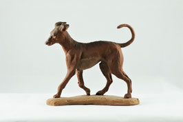 Ref.:3213 Podenco