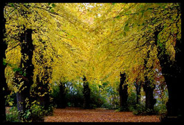 Leinwandbild, aus Wald und Flur, Motiv: 0575, in einem Massivholzrahmen