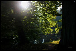 Leinwandbild, aus Wald und Flur, Motiv: 0014, in einem Rahmen mit Schattenfuge