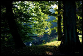 Leinwandbild, aus Wald und Flur, Motiv: 0015, in einem Rahmen mit Schattenfuge