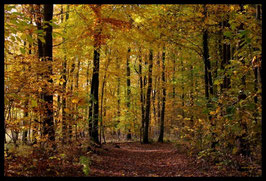 Leinwandbild, aus Wald und Flur, Motiv: 0522, in einem Rahmen mit Schattenfuge