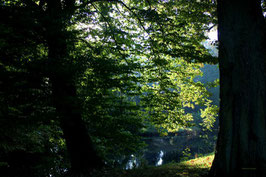 Leinwandbild, aus Wald und Flur, Motiv: 0013, auf einen Trägerrahmen gespannt