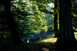 Leinwandbild, aus Wald und Flur, Motiv: 0015, auf einen Trägerrahmen gespannt