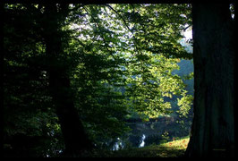 Leinwandbild, aus Wald und Flur, Motiv: 0013, in einem Rahmen mit Schattenfuge