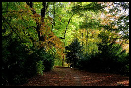 Leinwandbild, aus Wald und Flur, Motiv: 0392, in einem Rahmen mit Schattenfuge