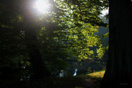 Leinwandbild, aus Wald und Flur, Motiv: 0014, auf einen Trägerrahmen gespannt