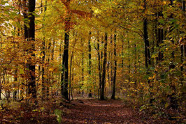 Leinwandbild, aus Wald und Flur, Motiv: 0522, auf einen Trägerrahmen gespannt