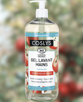 Gel lavant main : Pomme BIO 1L