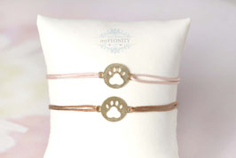 Katze Hund Pfote, Freundschaftsband