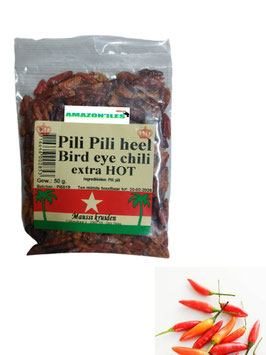 Piment pili pili