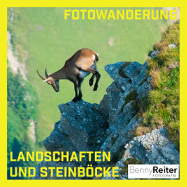 FOTOWANDERUNG ZU DEN STEINBÖCKEN - Wir fotografieren zusammen  Landschaften, Blumen, Insekten und Steinböcke