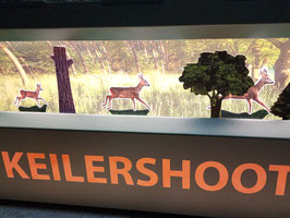 60 Aufkleber Sprung Rehwild- Bock, Ricke und Kitz je 10 mal rechts und links
