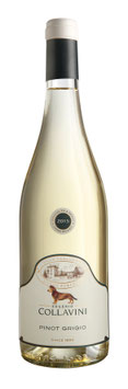 Egenio Collavini, Villa Canlungo Pinot Grigio DOC Venezia Giulia 2021*  -  6 er Pack