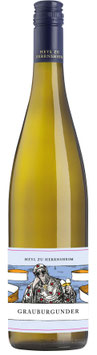 Grauburgunder Qualitätswein trocken 2021 Heyl zu Herrnsheim / St. Antony- Rheinhessen - 6 er Pack