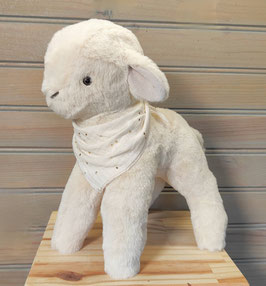 BILLY le petit agneau 2