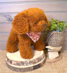 BUDDY Le petit chien Caramel