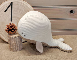 GLOUPY, la petite baleine