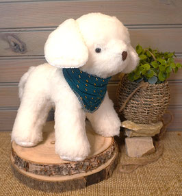 BUDDY le petit chien Blanc
