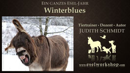 Online-Selbstlernkurs