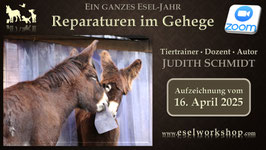 ONLINE AUFZEICHNUNG | Ein ganzes Esel-Jahr