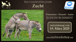 ONLINE AUFZEICHNUNG | Ein ganzes Esel-Jahr