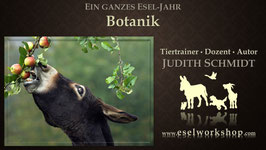 Online-Selbstlernkurs