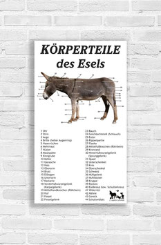 kleine Esel-Schautafel | Hochformat