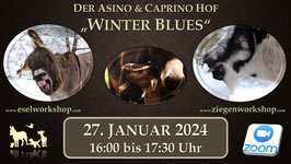 ONLINE AUFZEICHNUNG | "Winter Blues"