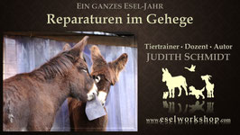 Online-Selbstlernkurs