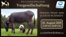 WEBINAR | Ein ganzes Esel-Jahr