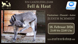 WEBINAR | Ein ganzes Esel-Jahr