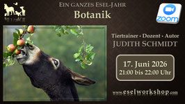 WEBINAR | Ein ganzes Esel-Jahr
