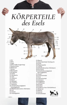 Esel-Schautafel | Hochformat