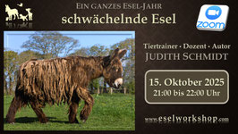WEBINAR | Ein ganzes Esel-Jahr