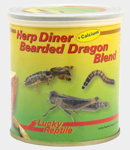 Lucky Reptile Herp diner - Bearded Dragon blend, Leopardgecko blend Insect blend